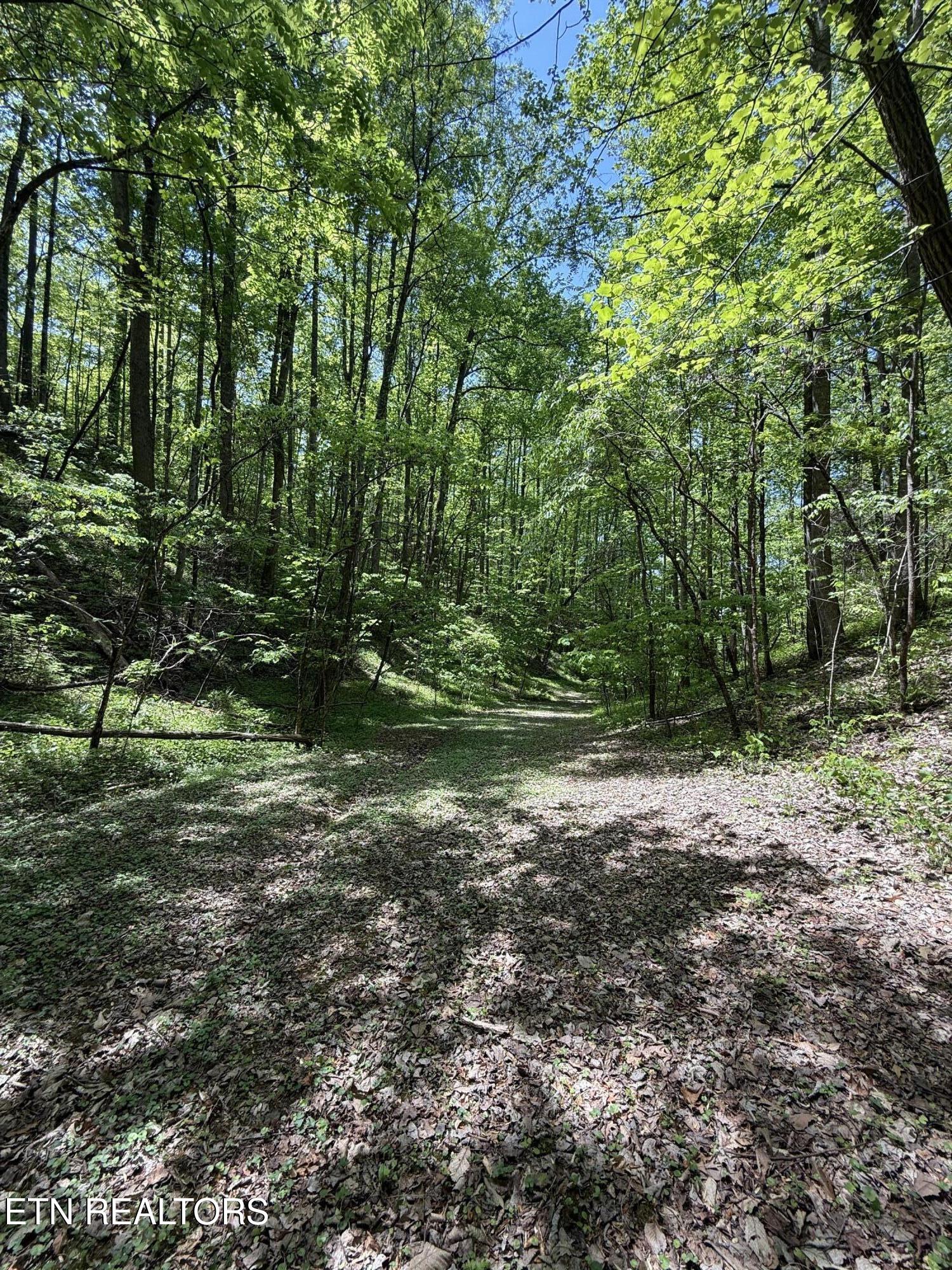 2110 Duck Pond Lane Sevierville TN 37876