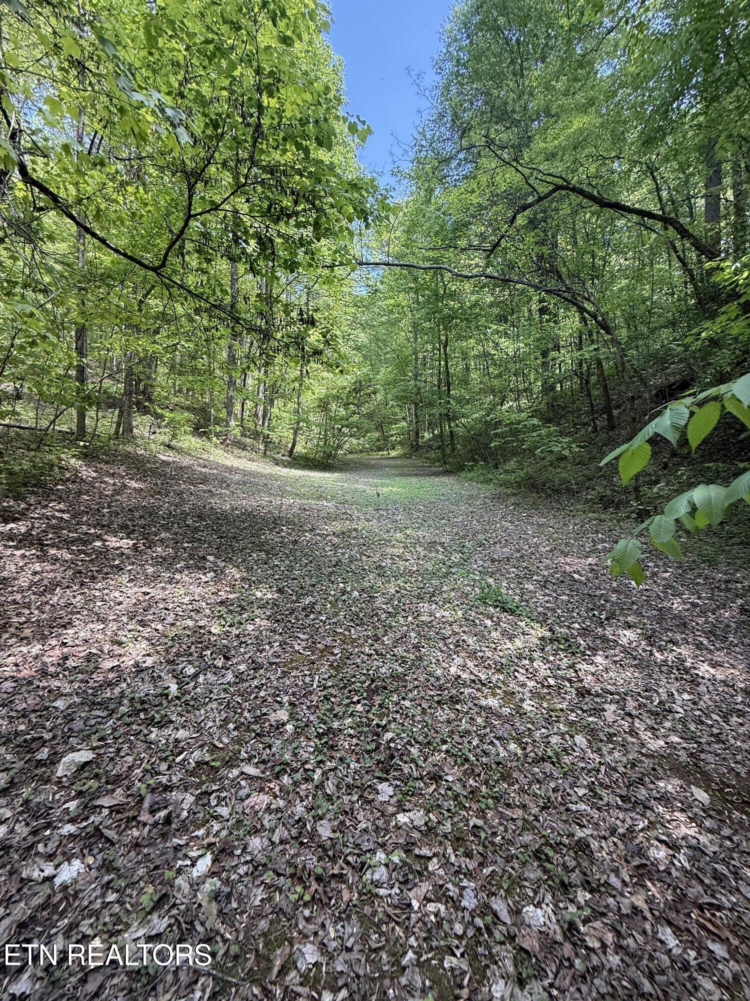 2110 Duck Pond Lane Sevierville TN 37876