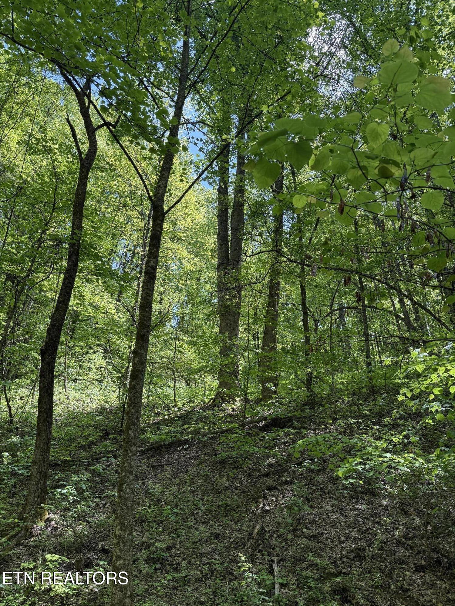 2110 Duck Pond Lane Sevierville TN 37876
