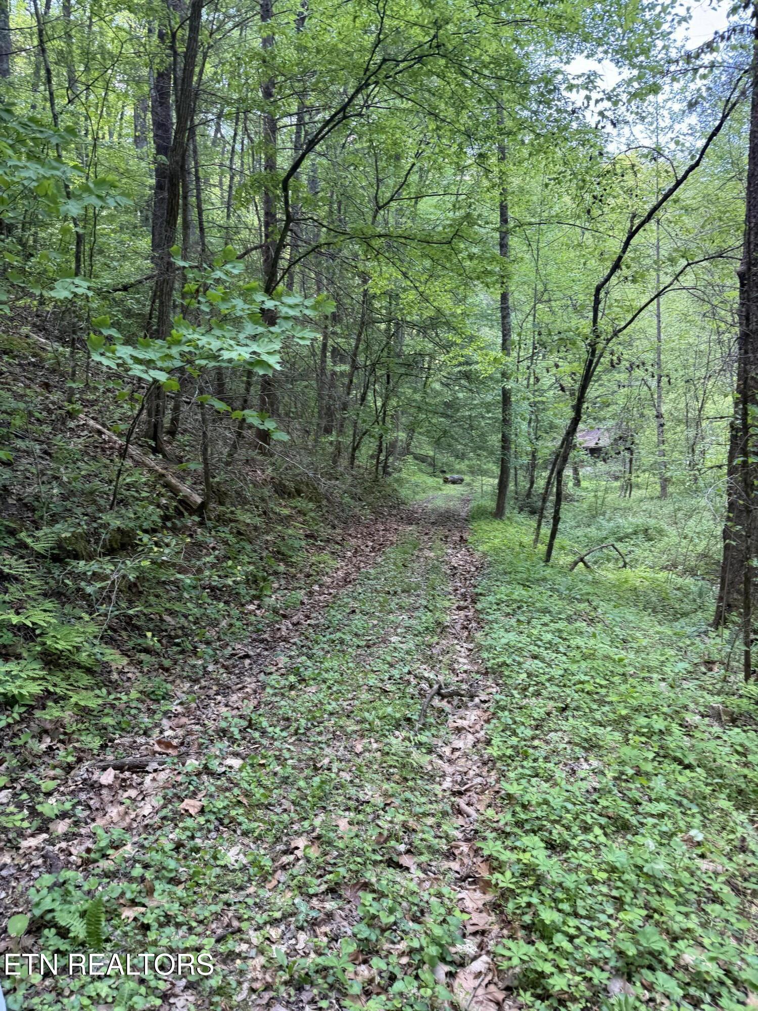 2110 Duck Pond Lane Sevierville TN 37876