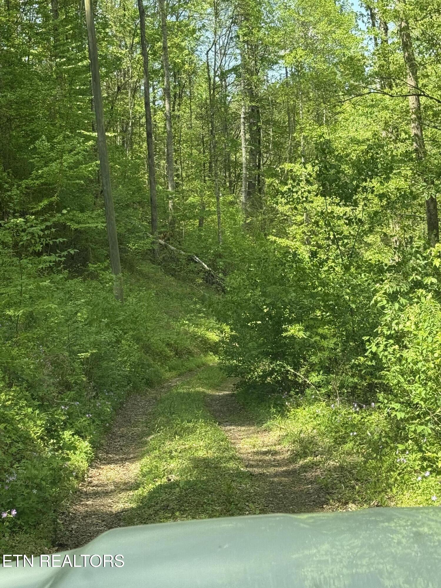 2110 Duck Pond Lane Sevierville TN 37876