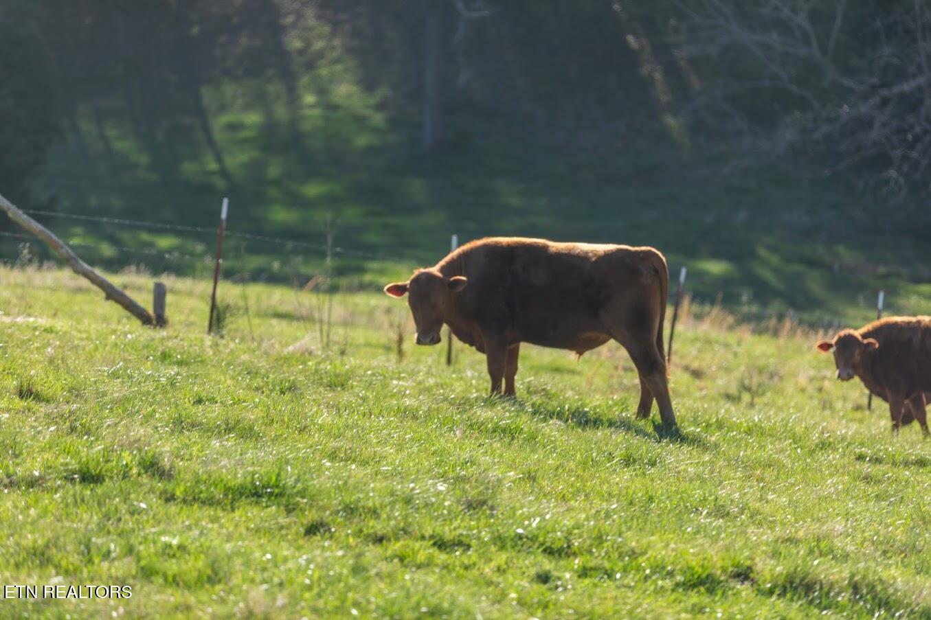 Lot 2 Dunsmore Road Lenoir City TN 37771
