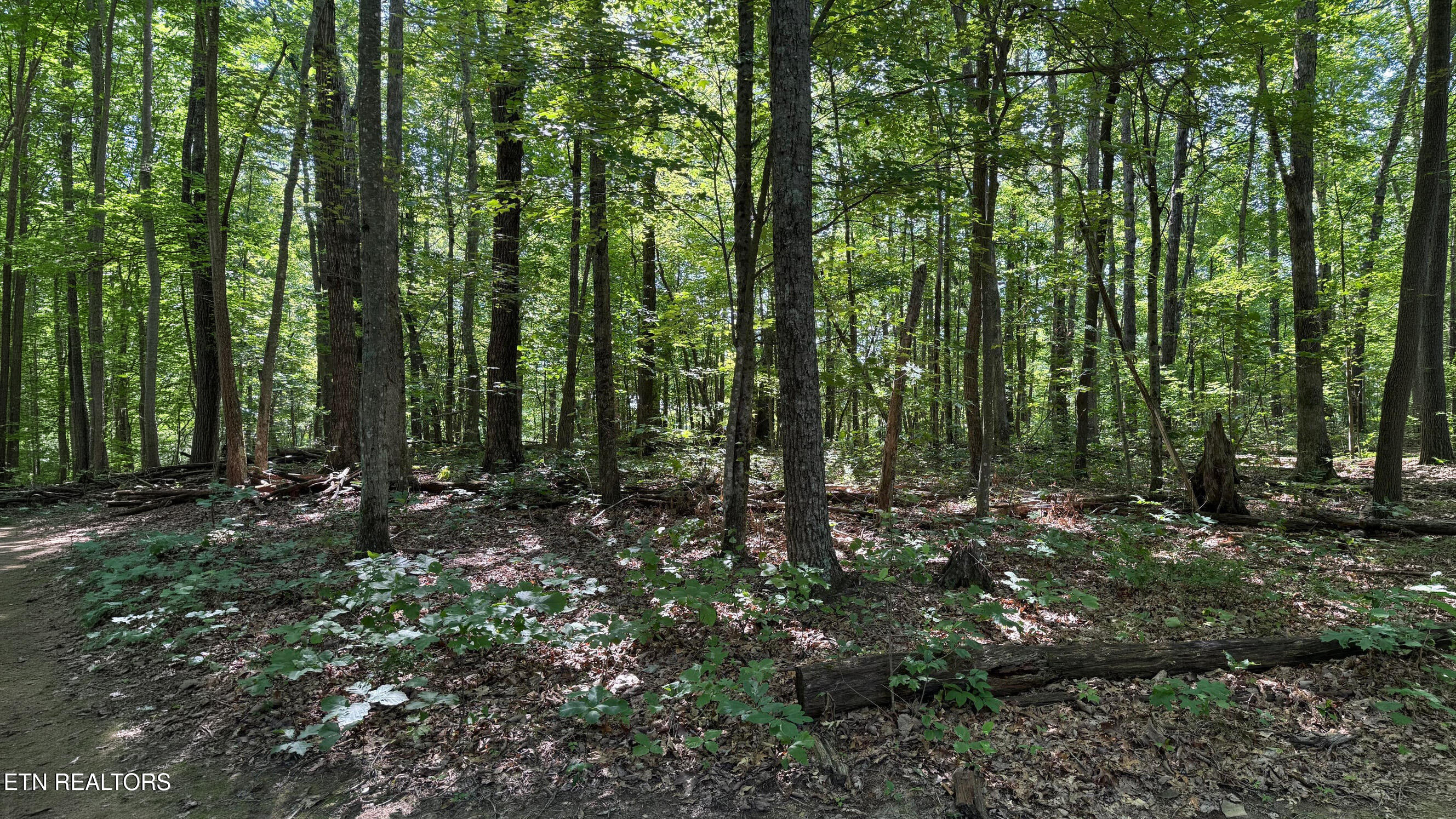 Little Place Monterey TN 38574