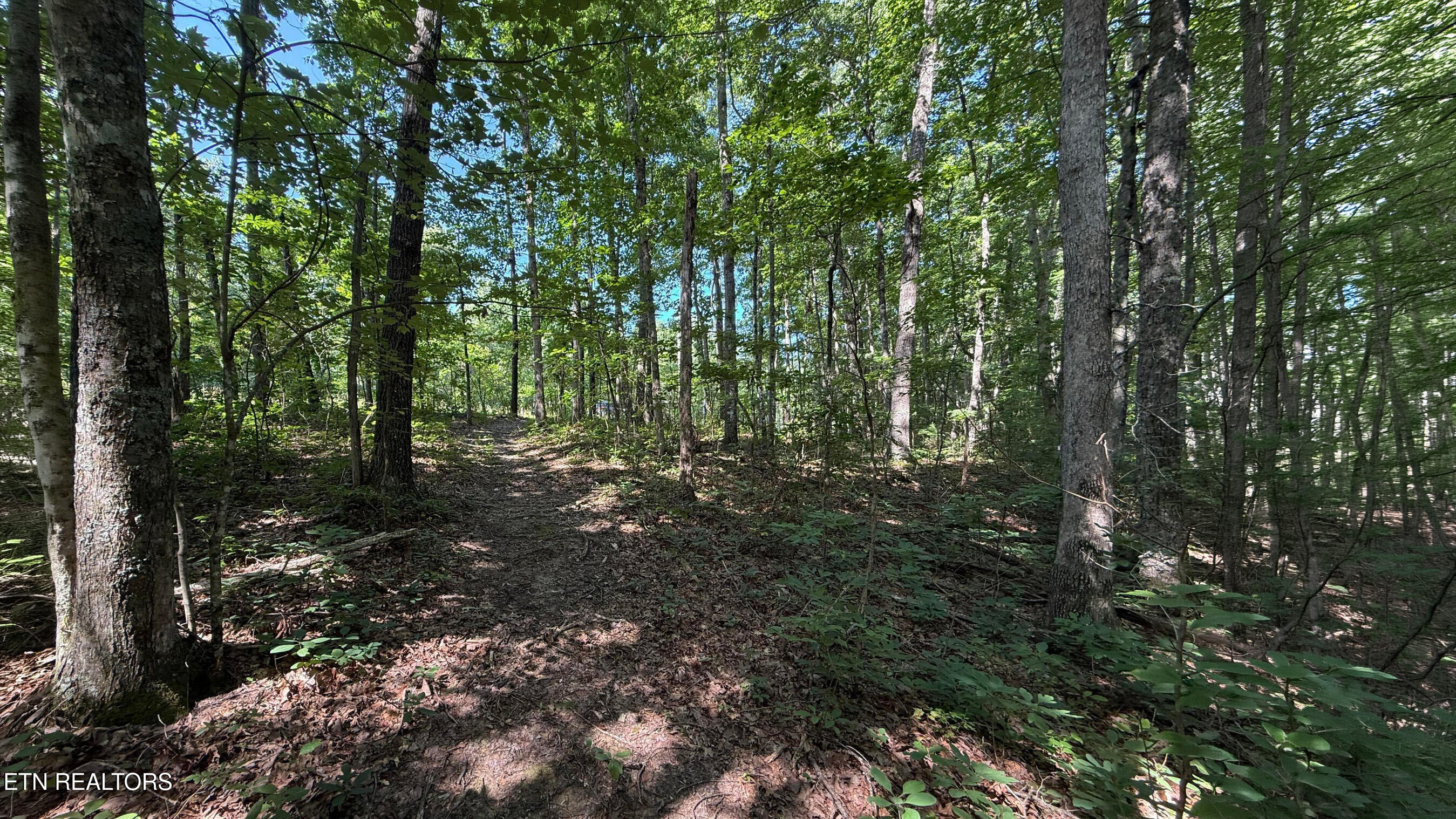 Little Place Monterey TN 38574