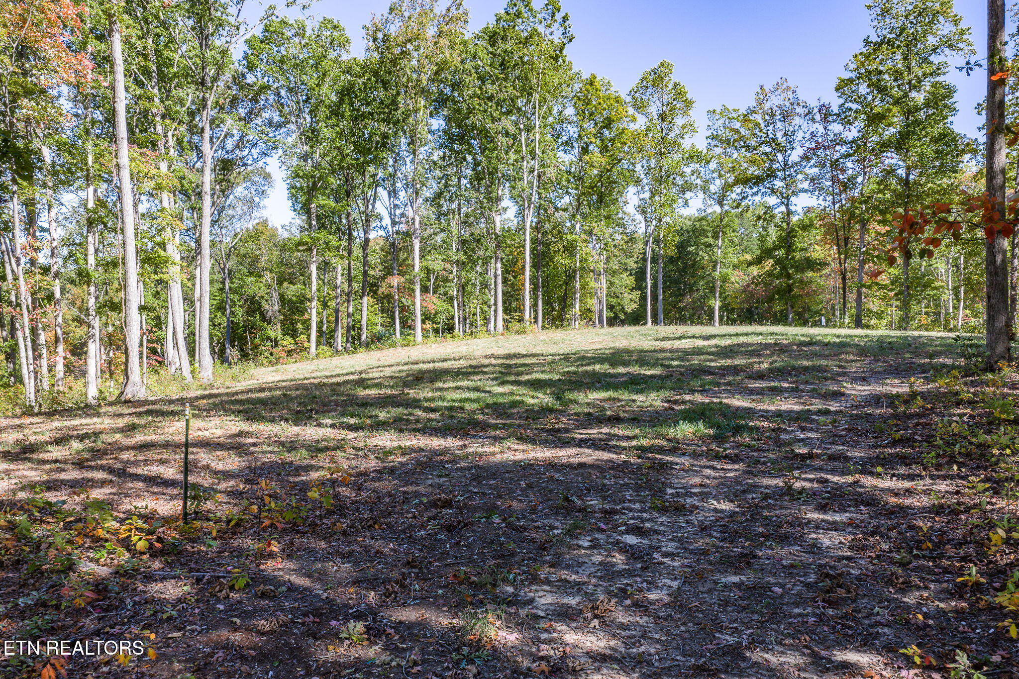 628 Cumberland Cove Road Monterey TN 38574