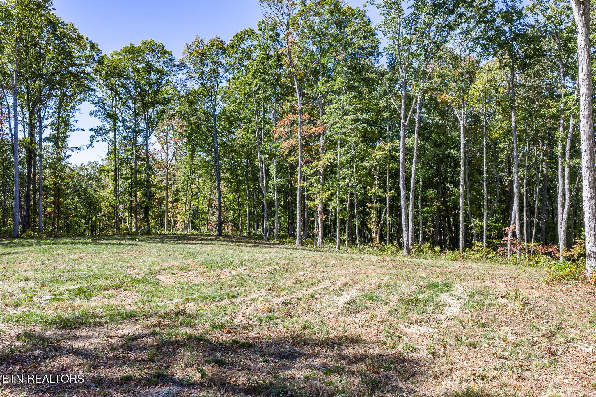 628 Cumberland Cove Road Monterey TN 38574