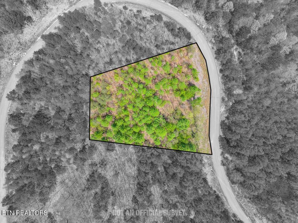 0 Overlook Drive Spencer TN 38585