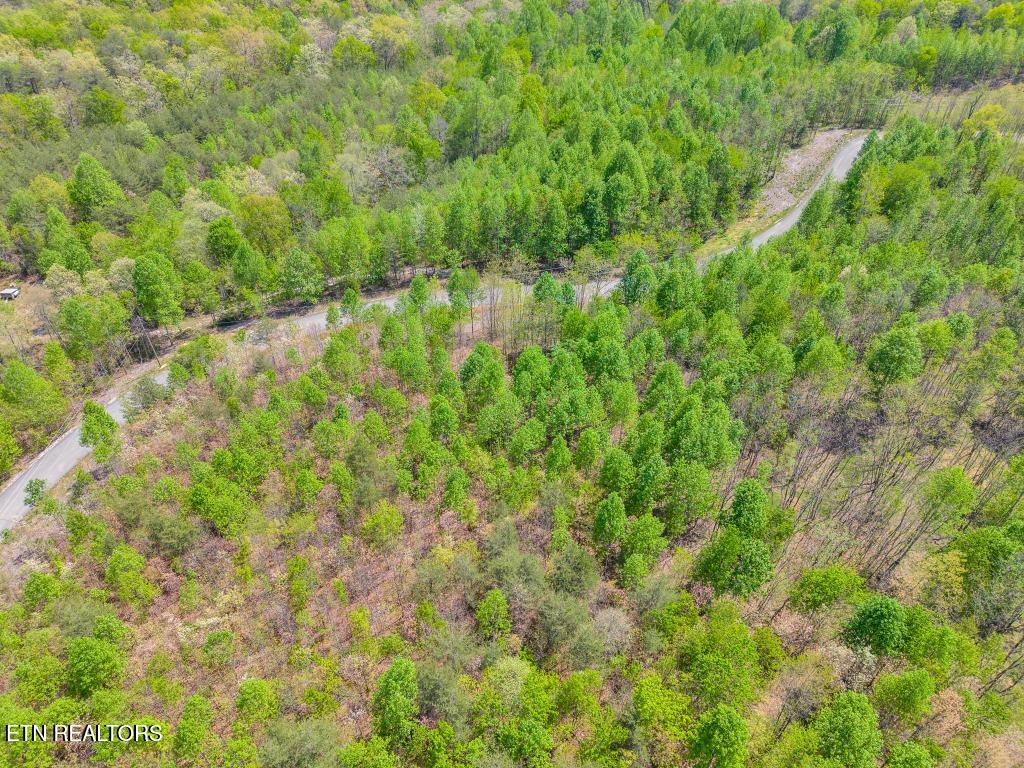 0 Overlook Drive Spencer TN 38585