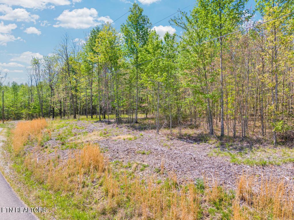 0 Overlook Drive Spencer TN 38585