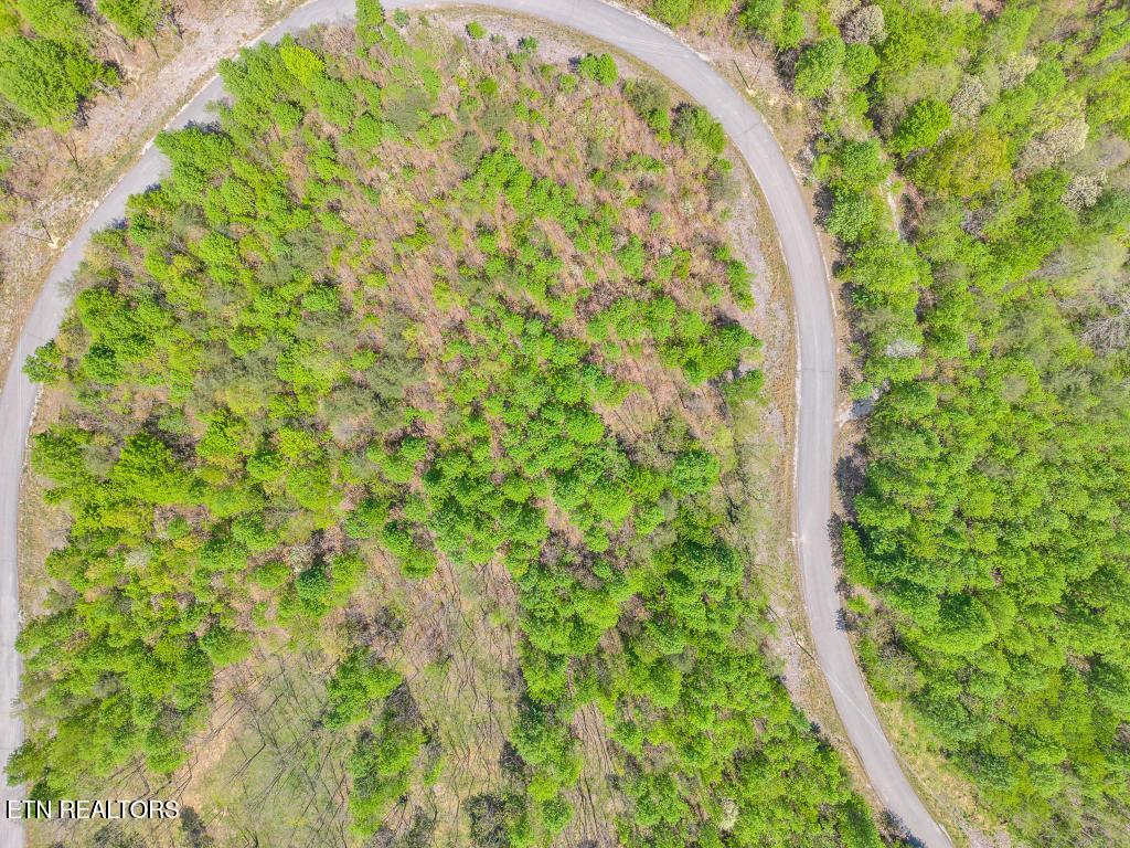 0 Overlook Drive Spencer TN 38585