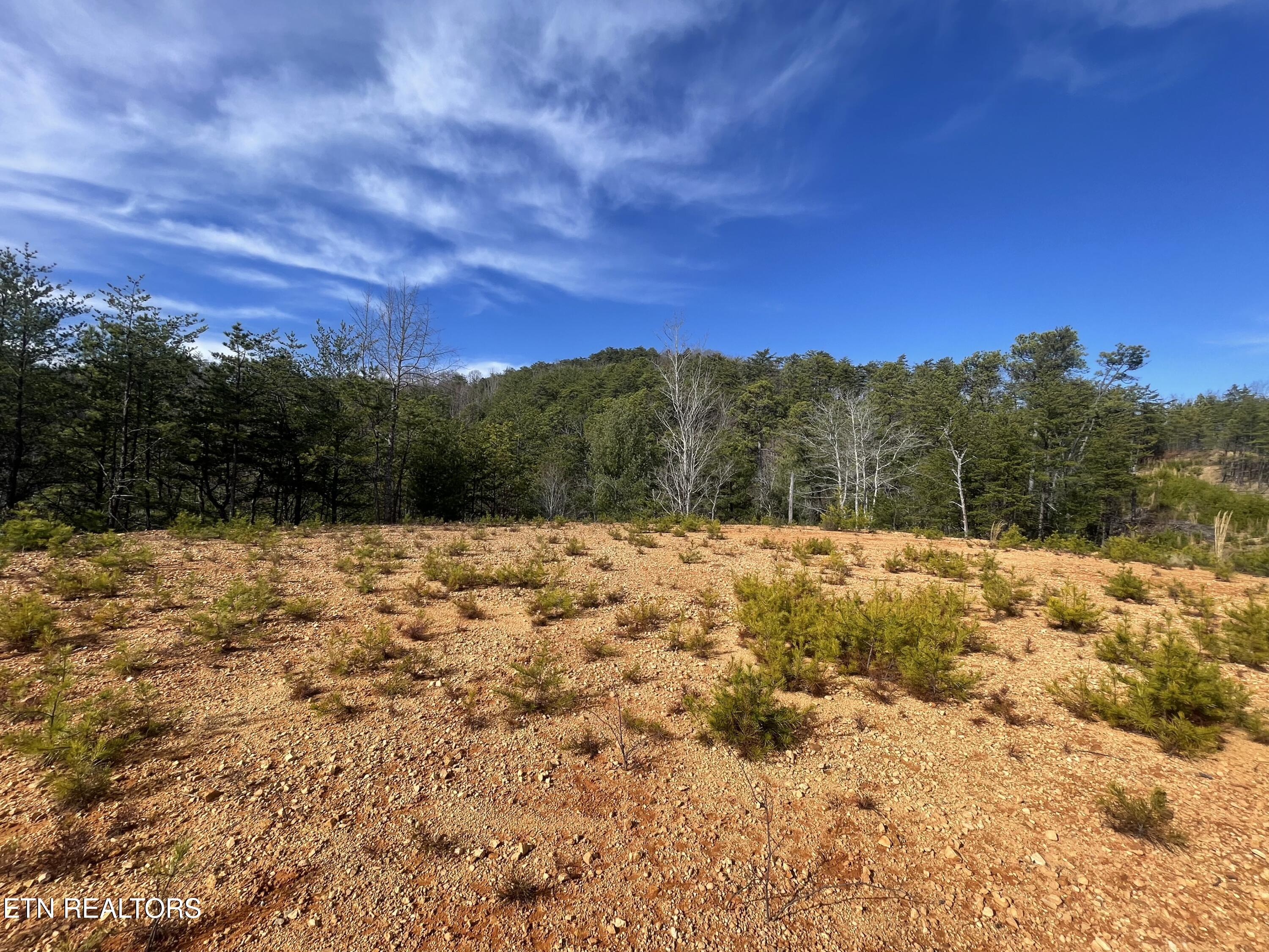 Lot 36 Bullet Mountain Drive Tellico Plains TN 37385