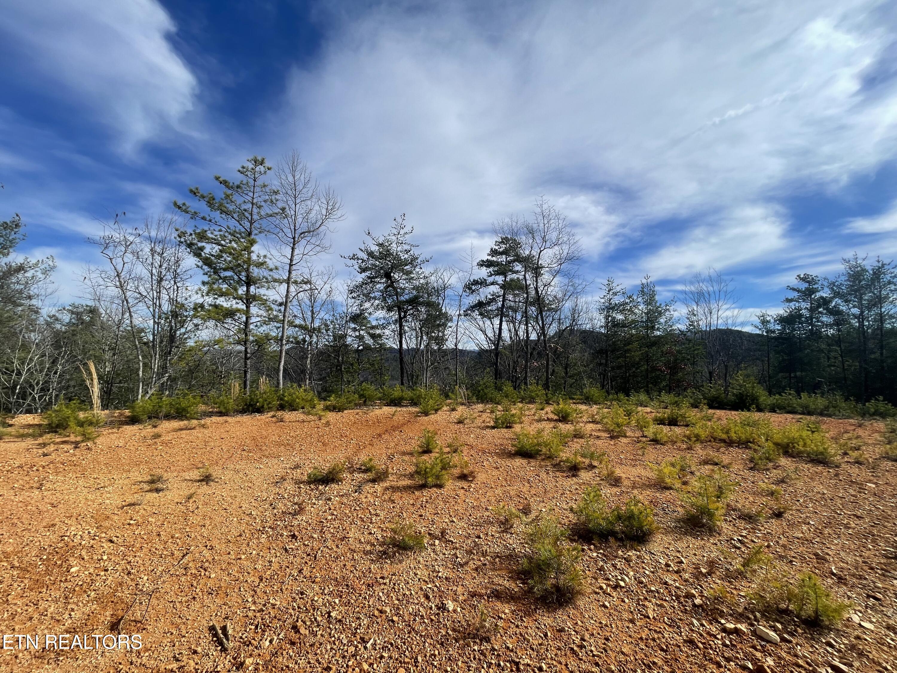 Lot 36 Bullet Mountain Drive Tellico Plains TN 37385