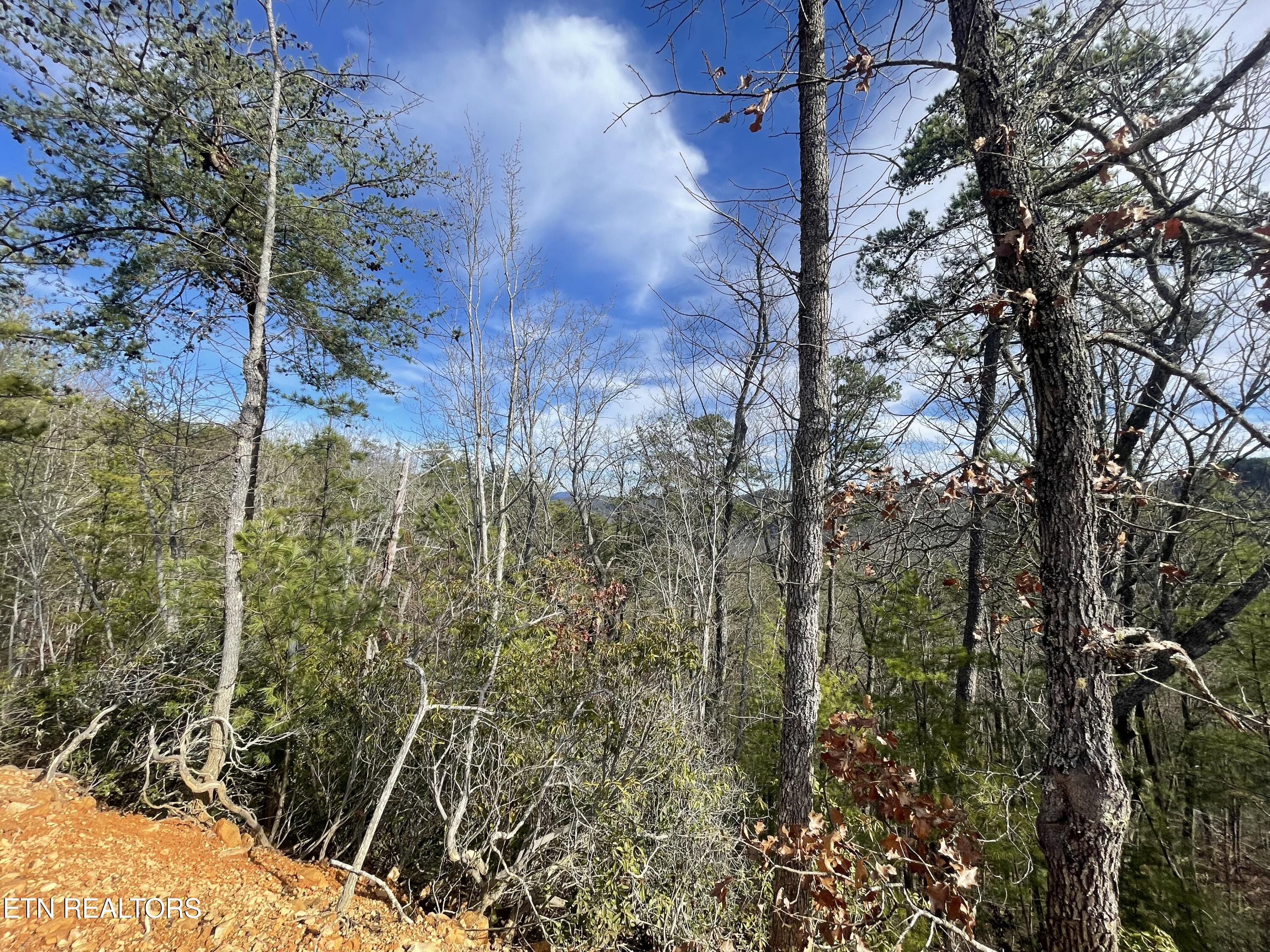 Lot 36 Bullet Mountain Drive Tellico Plains TN 37385