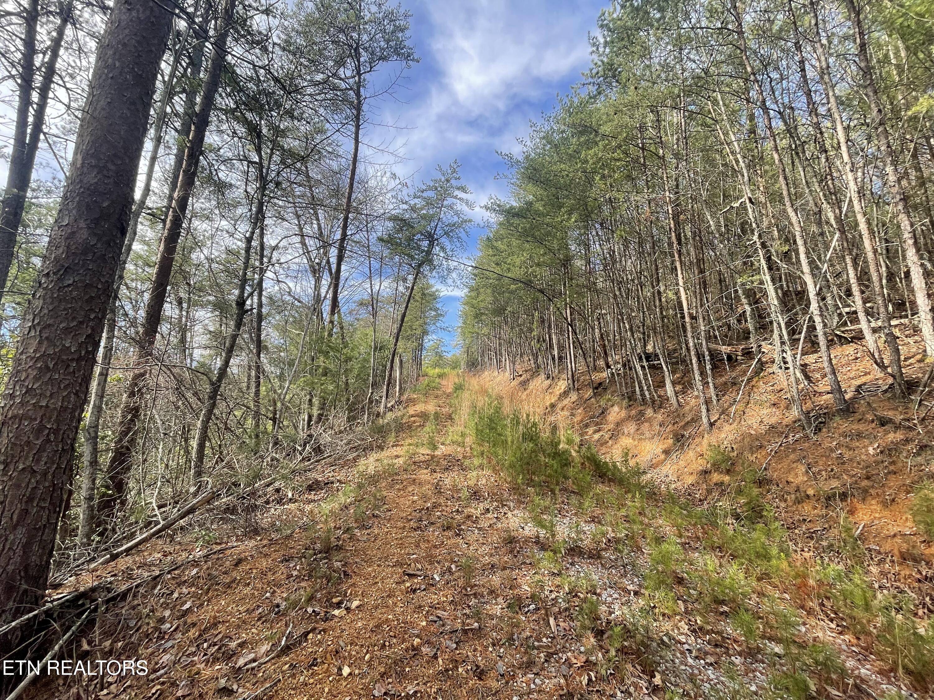 Lot 36 Bullet Mountain Drive Tellico Plains TN 37385