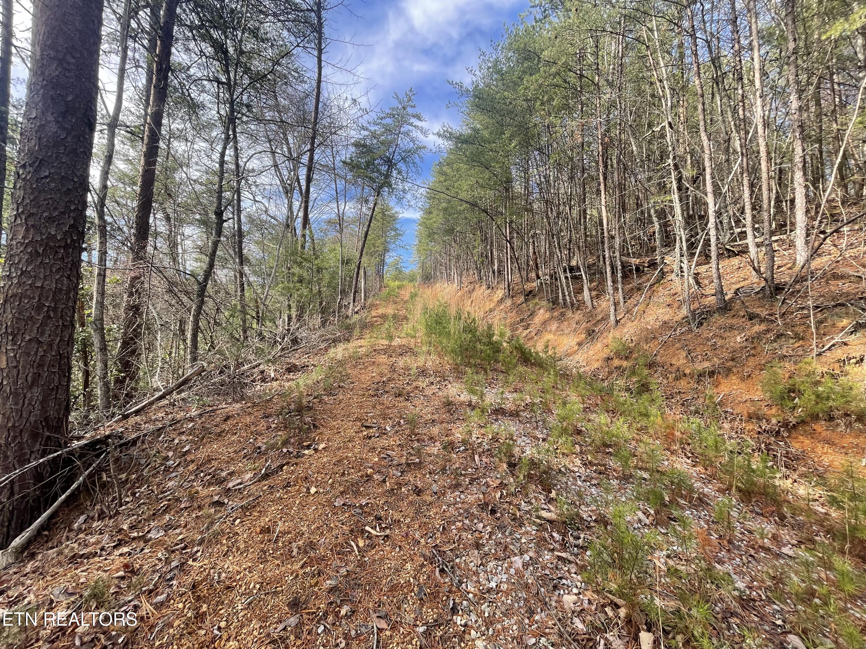 Lot 36 Bullet Mountain Drive Tellico Plains TN 37385