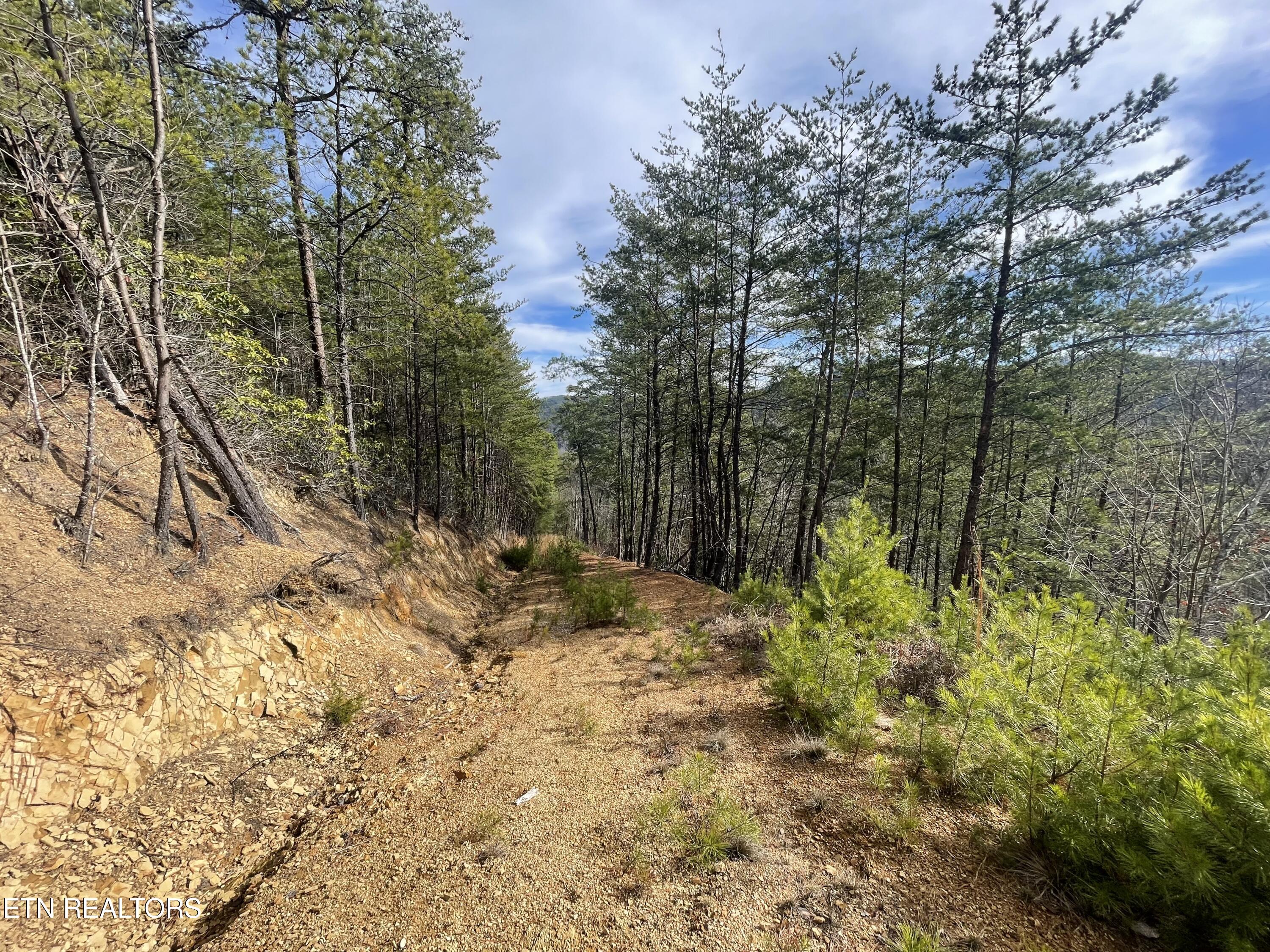 Lot 36 Bullet Mountain Drive Tellico Plains TN 37385