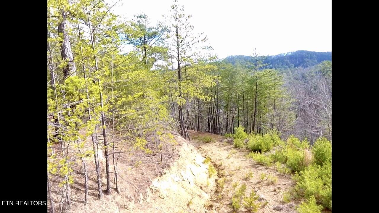 Lot 36 Bullet Mountain Drive Tellico Plains TN 37385