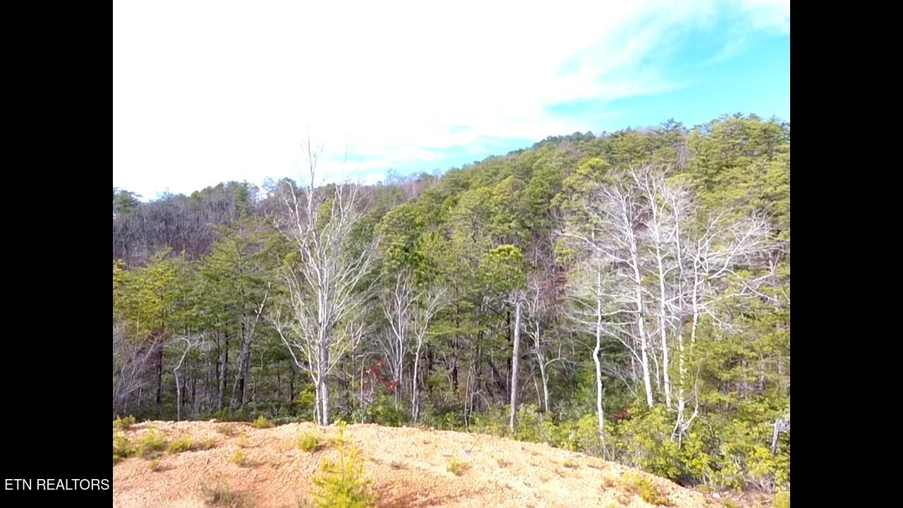 Lot 36 Bullet Mountain Drive Tellico Plains TN 37385