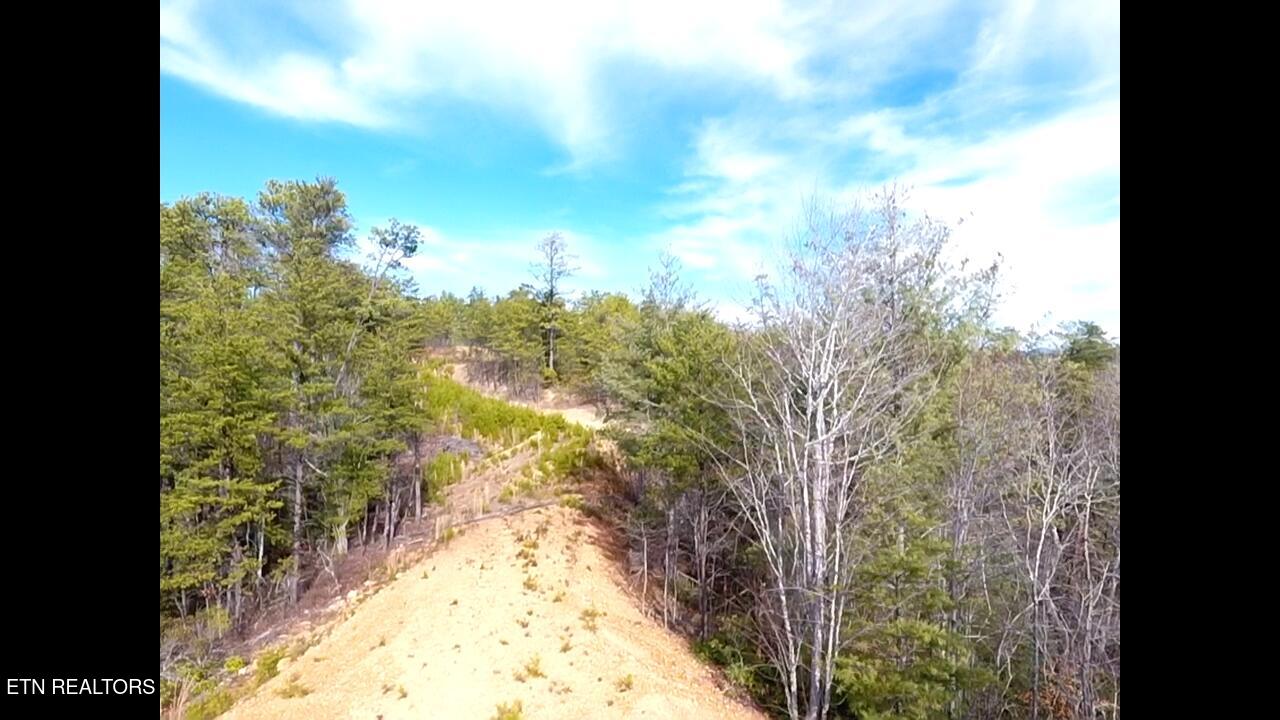 Lot 36 Bullet Mountain Drive Tellico Plains TN 37385