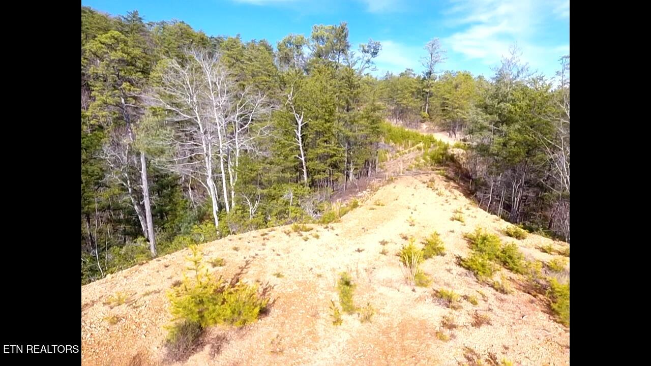 Lot 36 Bullet Mountain Drive Tellico Plains TN 37385