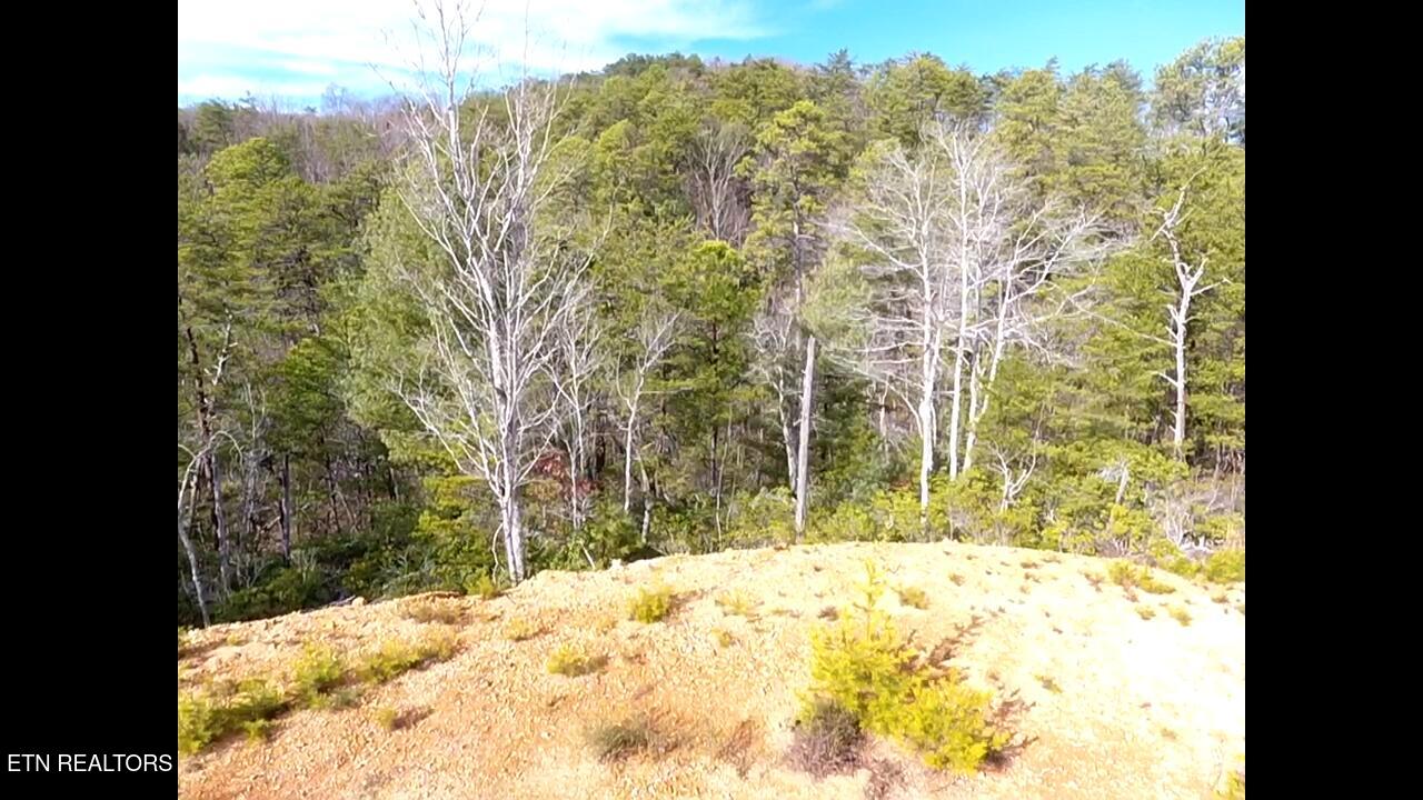 Lot 36 Bullet Mountain Drive Tellico Plains TN 37385