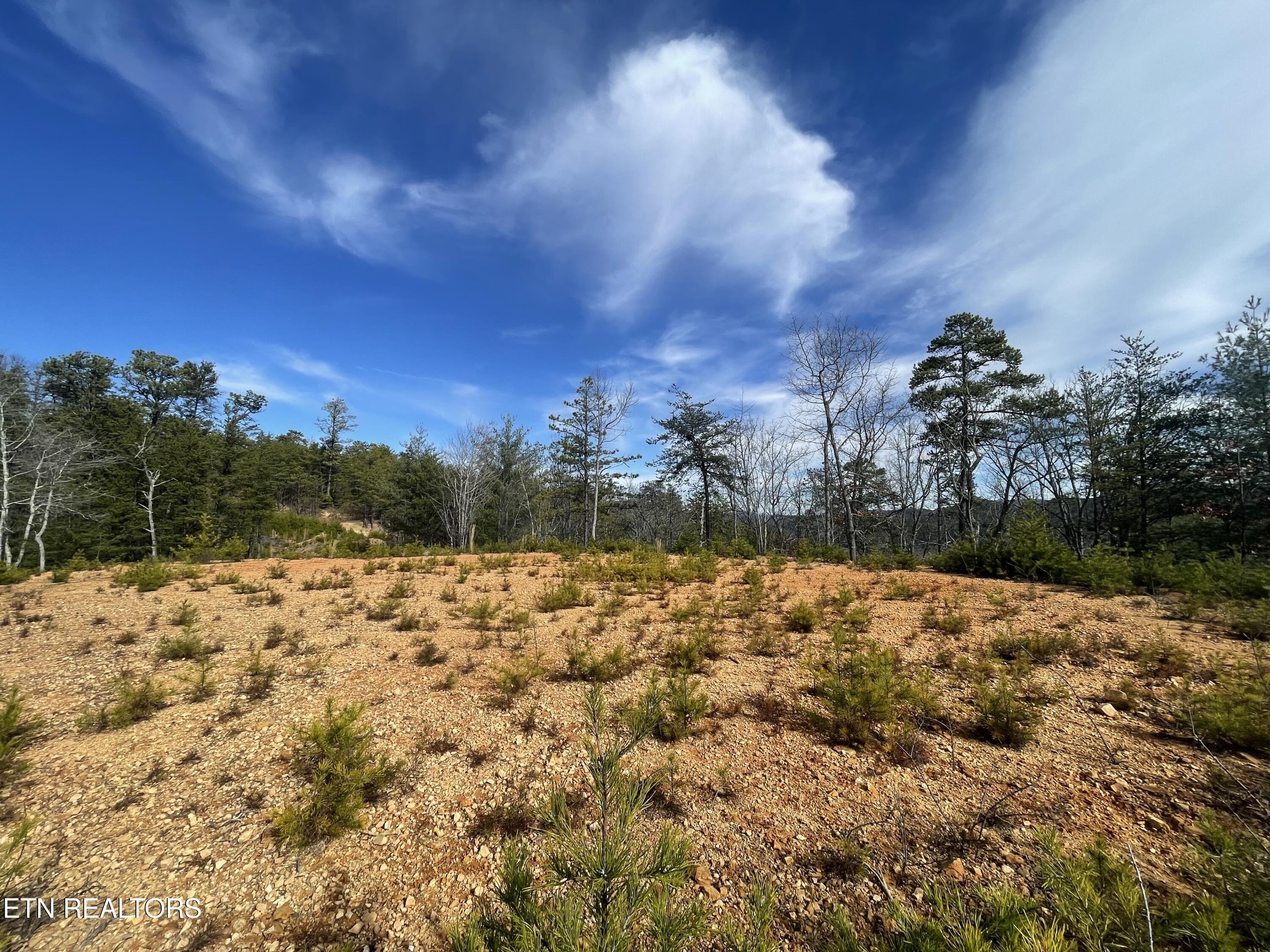 Lot 36 Bullet Mountain Drive Tellico Plains TN 37385