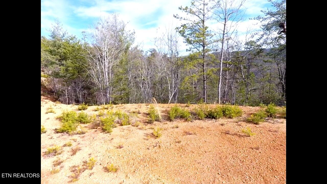 Lot 36 Bullet Mountain Drive Tellico Plains TN 37385
