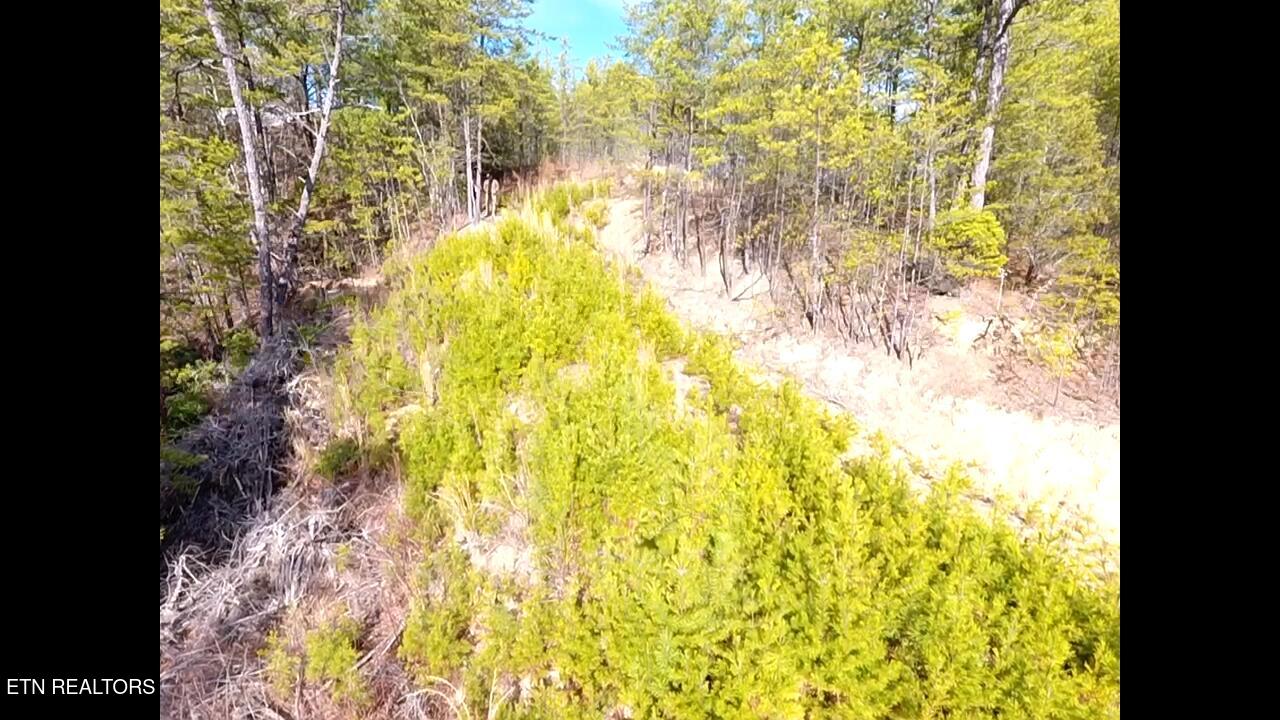 Lot 36 Bullet Mountain Drive Tellico Plains TN 37385