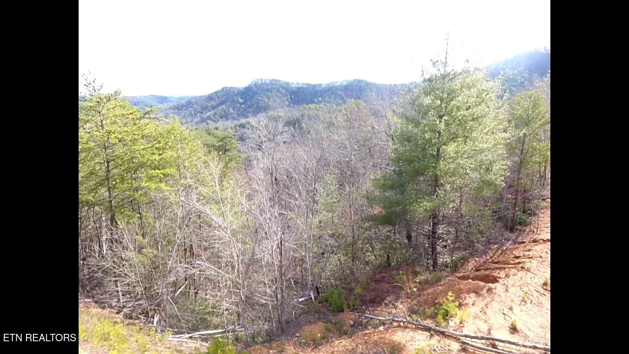 Lot 36 Bullet Mountain Drive Tellico Plains TN 37385