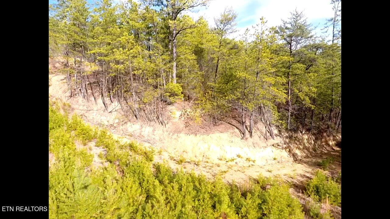 Lot 36 Bullet Mountain Drive Tellico Plains TN 37385