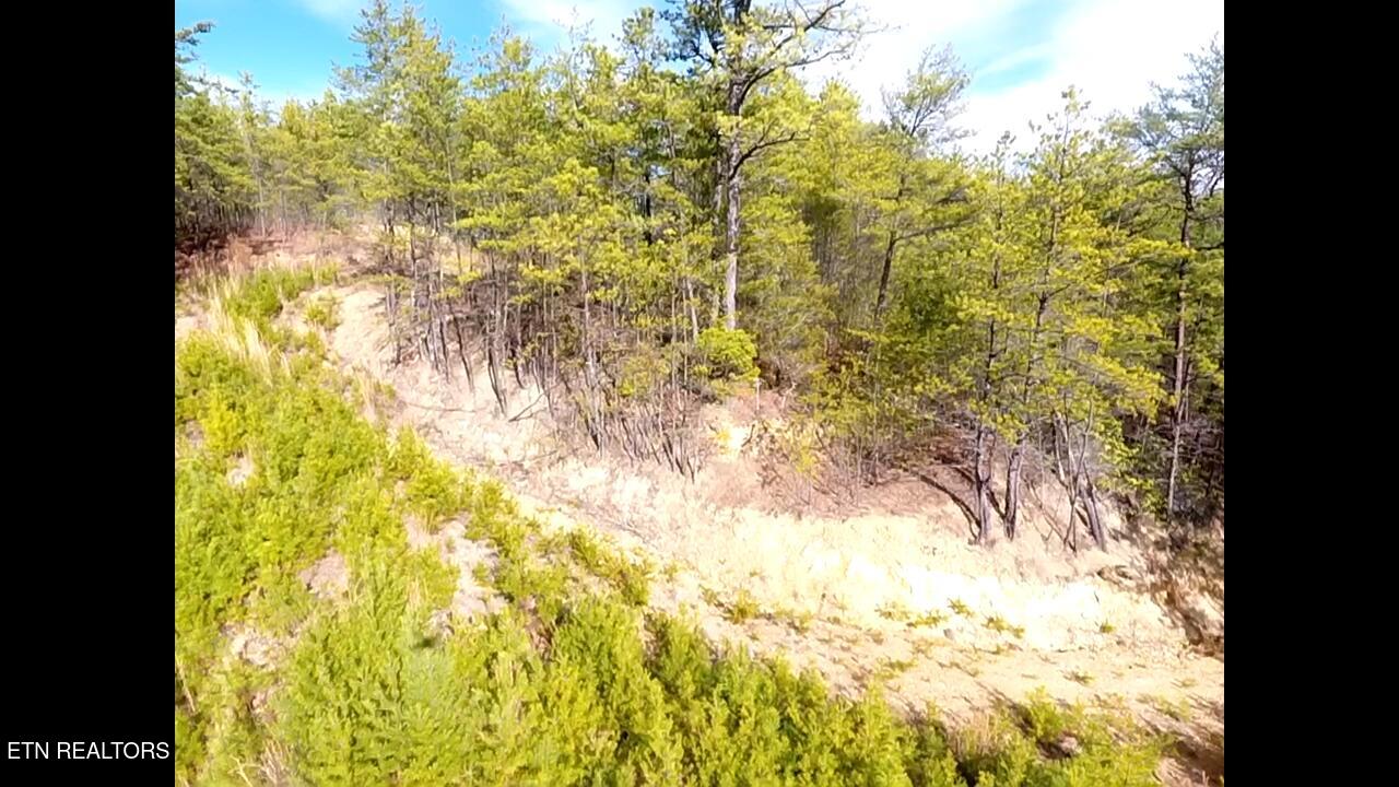 Lot 36 Bullet Mountain Drive Tellico Plains TN 37385