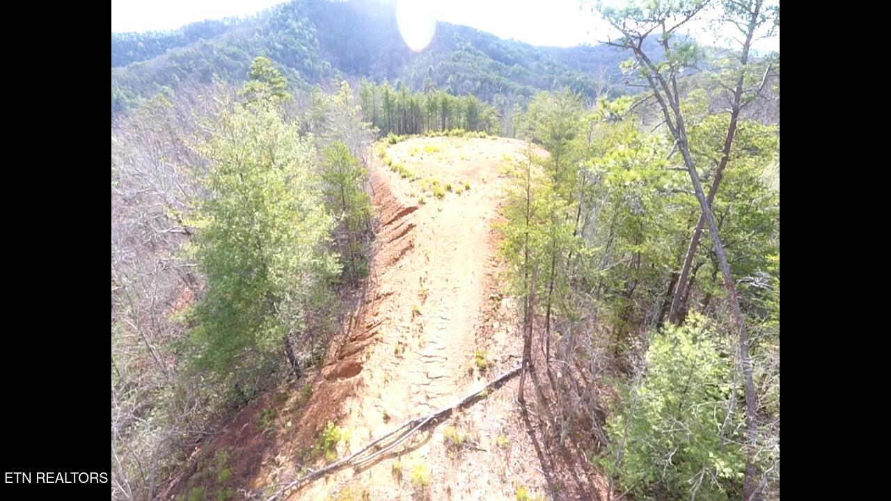 Lot 36 Bullet Mountain Drive Tellico Plains TN 37385