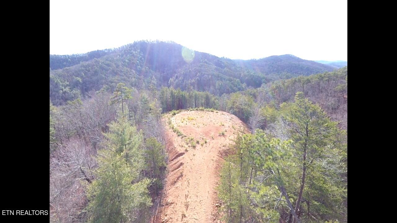 Lot 36 Bullet Mountain Drive Tellico Plains TN 37385