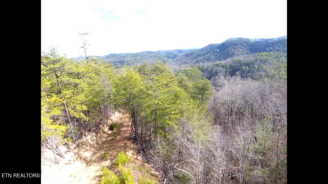 Lot 36 Bullet Mountain Drive Tellico Plains TN 37385