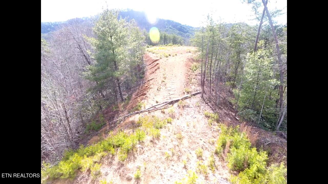 Lot 36 Bullet Mountain Drive Tellico Plains TN 37385