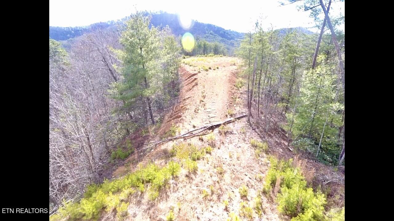 Lot 36 Bullet Mountain Drive Tellico Plains TN 37385