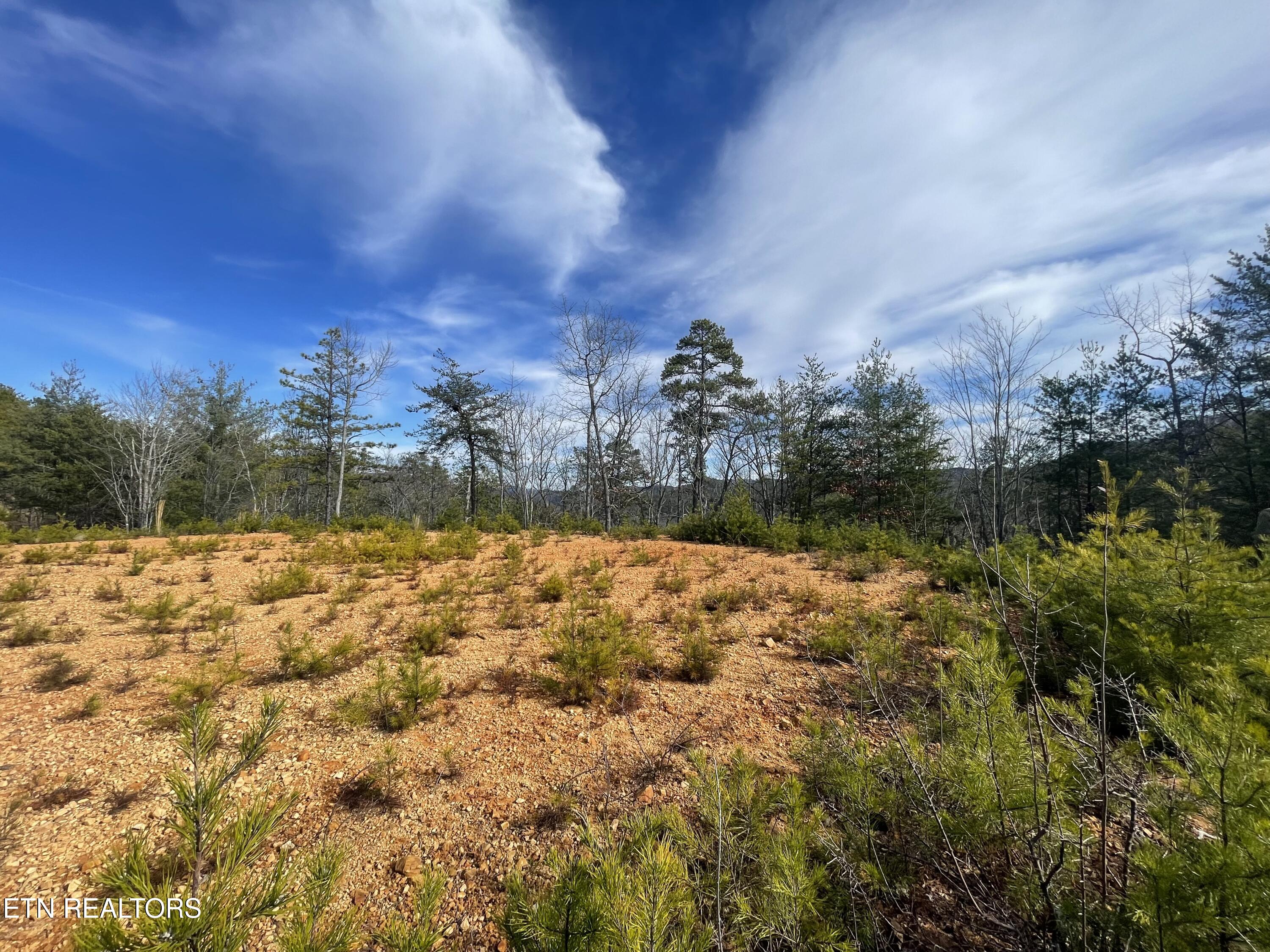 Lot 36 Bullet Mountain Drive Tellico Plains TN 37385