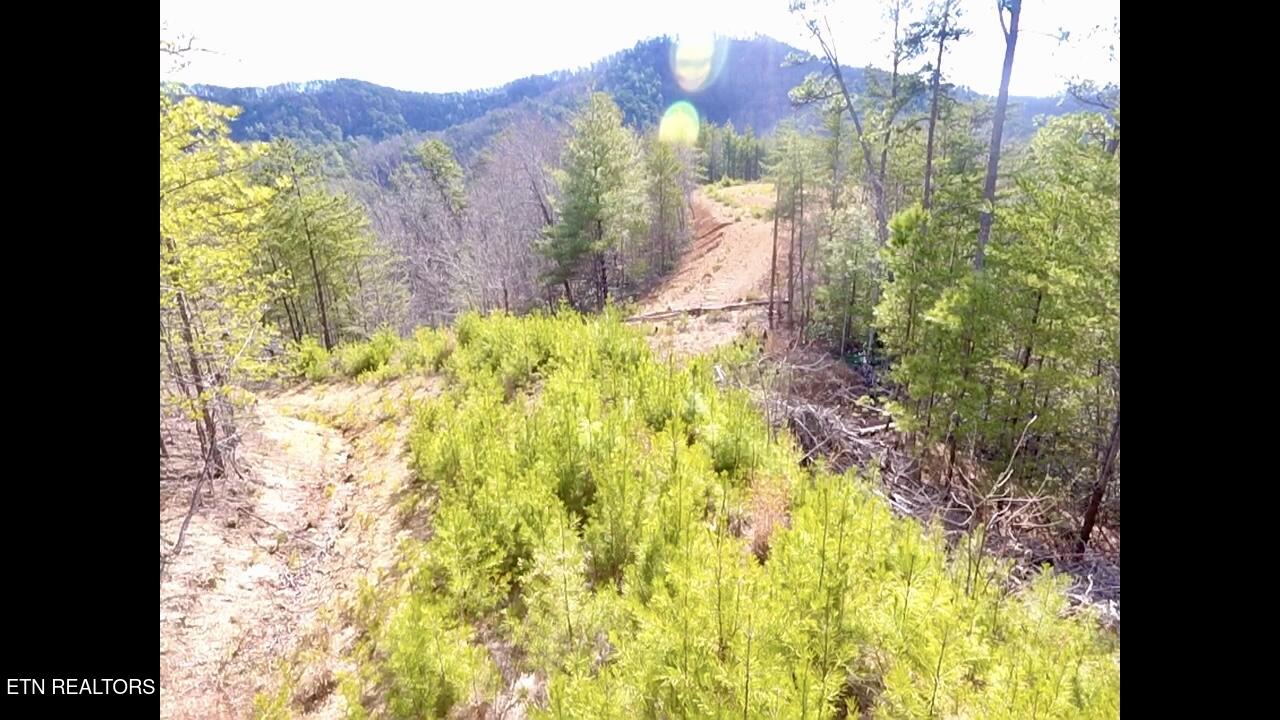 Lot 36 Bullet Mountain Drive Tellico Plains TN 37385