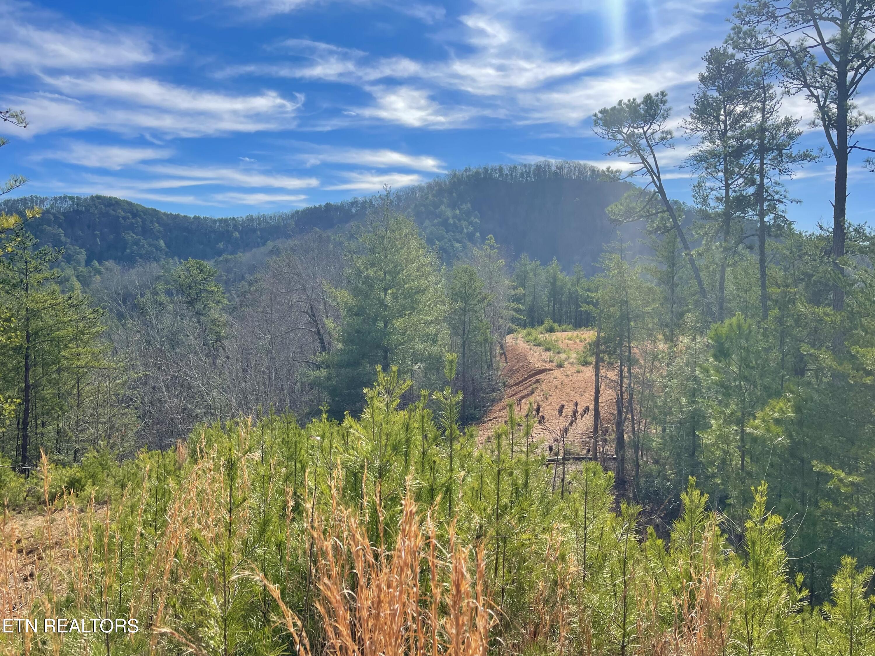 Lot 36 Bullet Mountain Drive Tellico Plains TN 37385