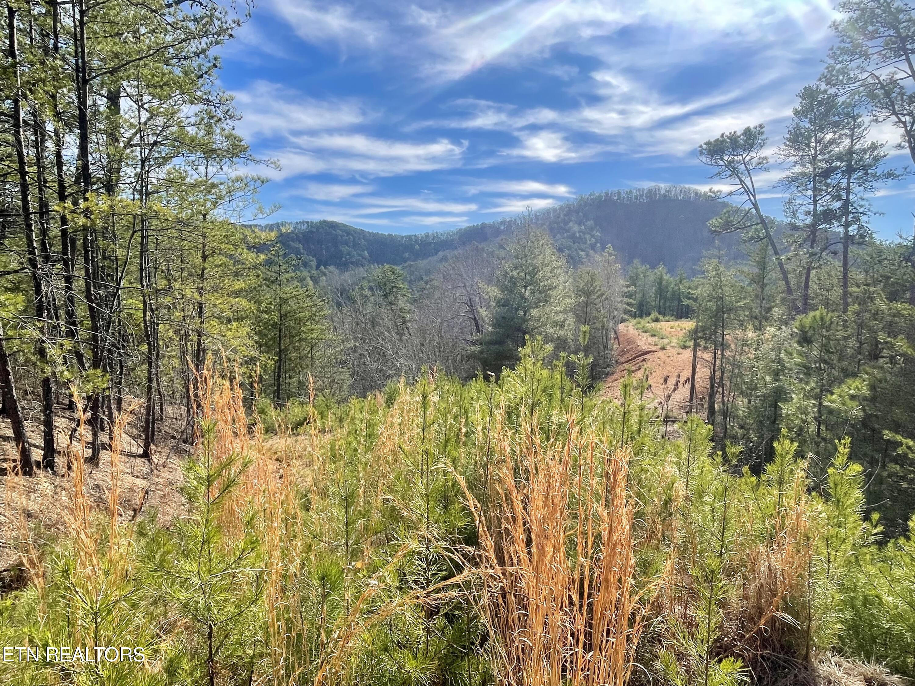 Lot 36 Bullet Mountain Drive Tellico Plains TN 37385