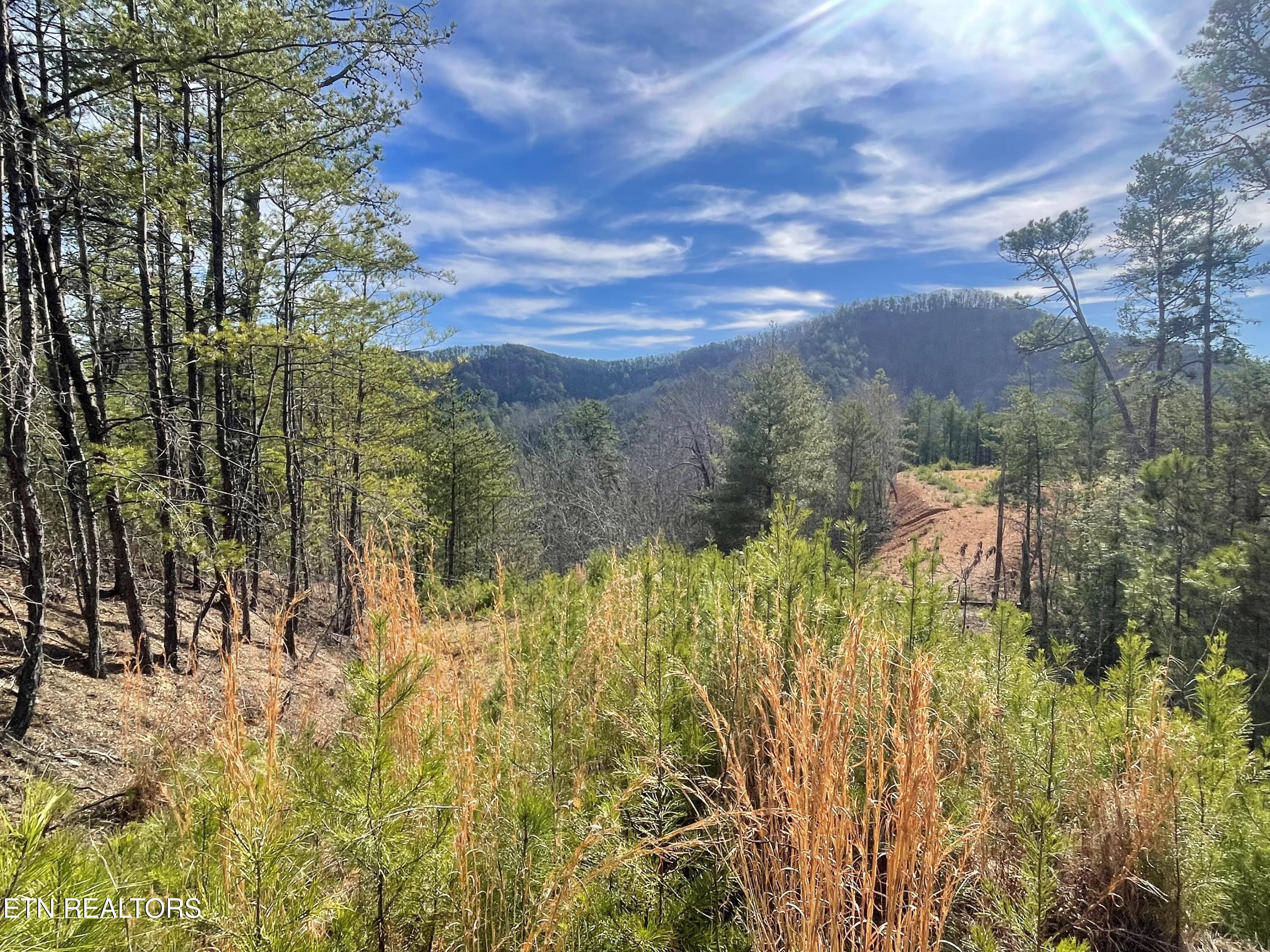 Lot 36 Bullet Mountain Drive Tellico Plains TN 37385