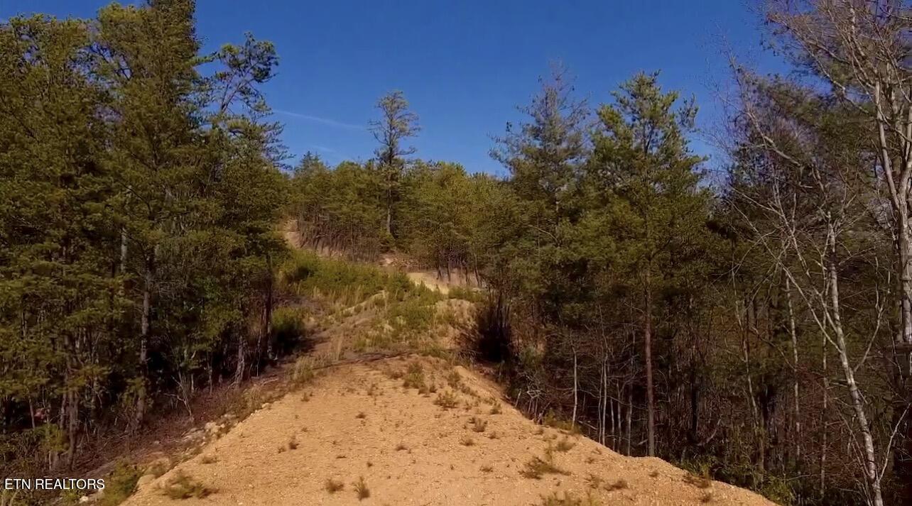 Lot 36 Bullet Mountain Drive Tellico Plains TN 37385