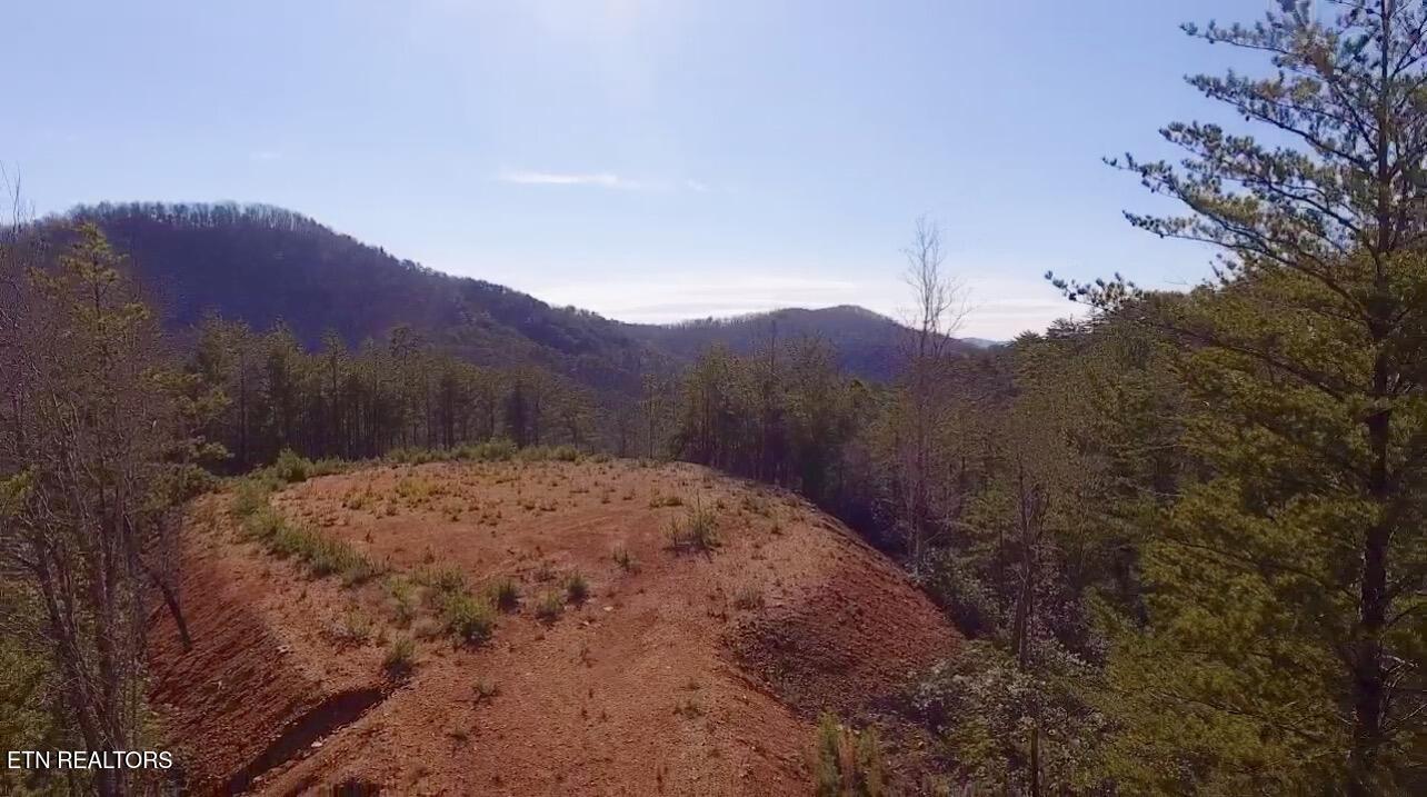 Lot 36 Bullet Mountain Drive Tellico Plains TN 37385