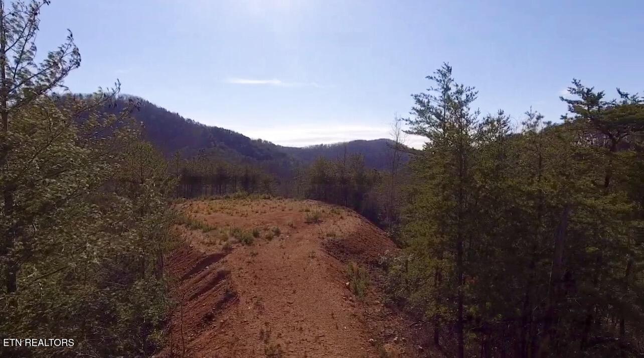 Lot 36 Bullet Mountain Drive Tellico Plains TN 37385