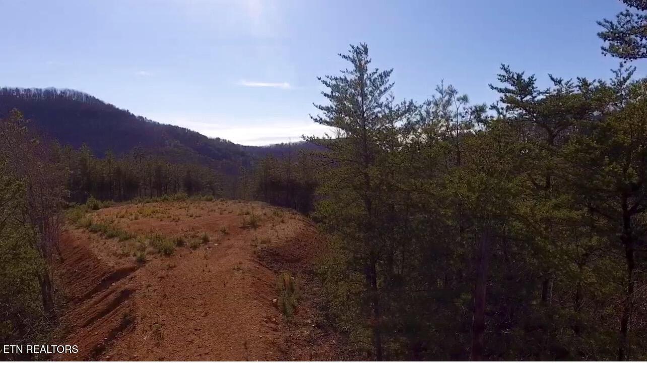Lot 36 Bullet Mountain Drive Tellico Plains TN 37385