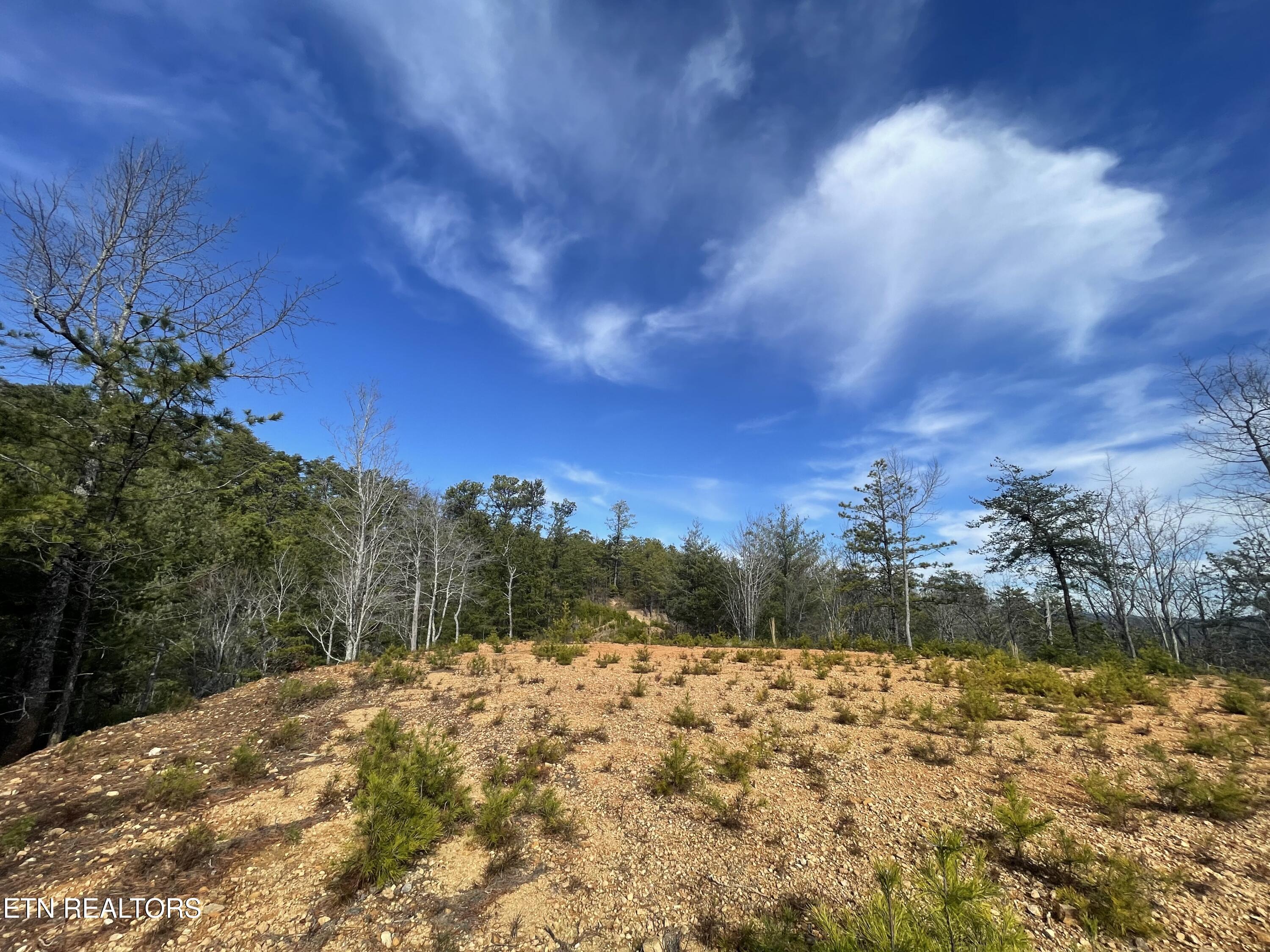 Lot 36 Bullet Mountain Drive Tellico Plains TN 37385