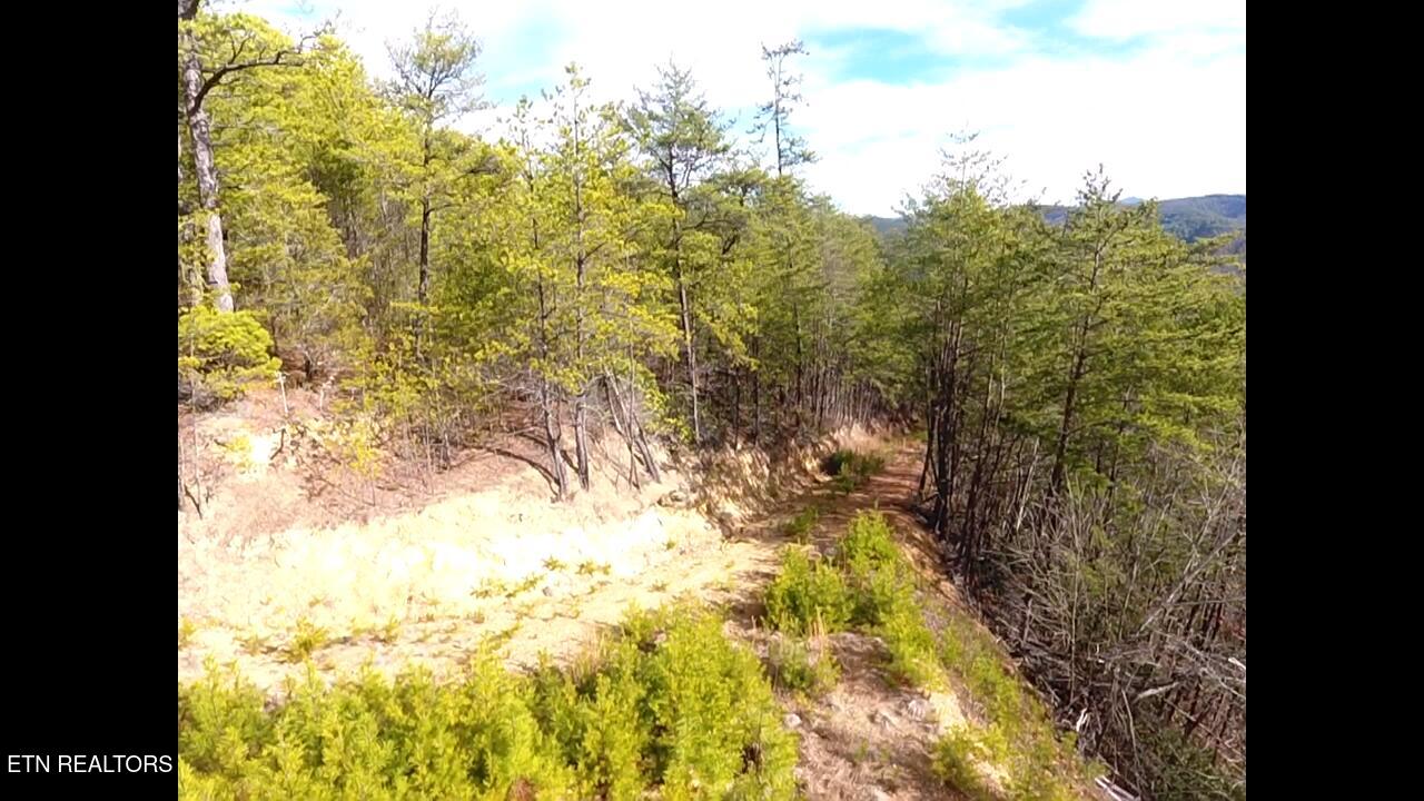 Lot 36 Bullet Mountain Drive Tellico Plains TN 37385