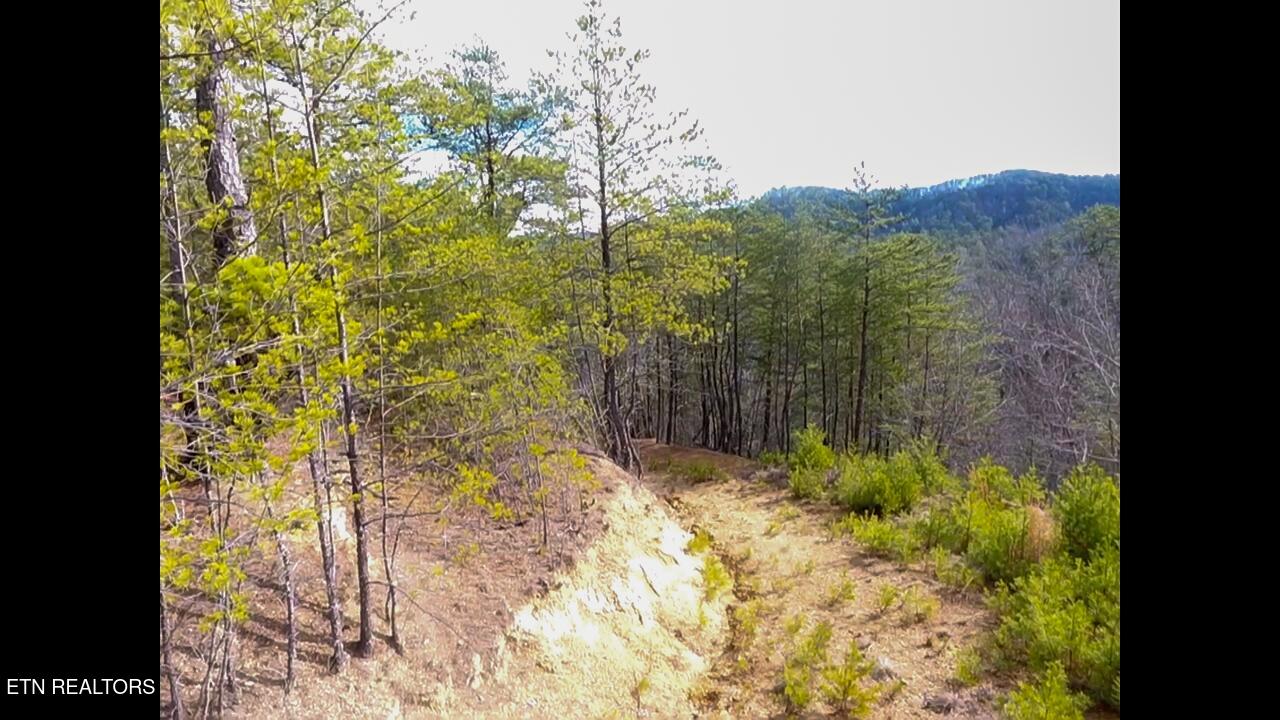 Lot 36 Bullet Mountain Drive Tellico Plains TN 37385