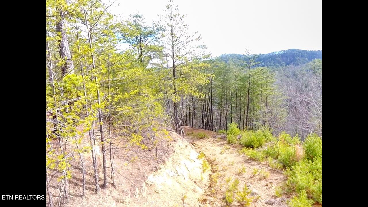 Lot 36 Bullet Mountain Drive Tellico Plains TN 37385