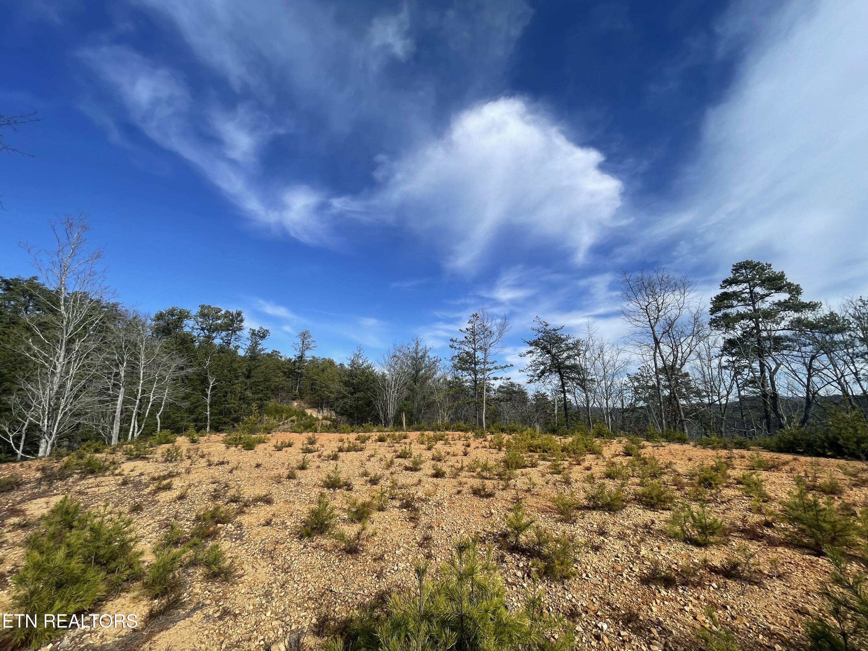 Lot 36 Bullet Mountain Drive Tellico Plains TN 37385